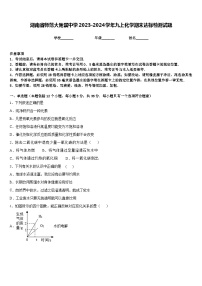 湖南省师范大附属中学2023-2024学年九上化学期末达标检测试题含答案