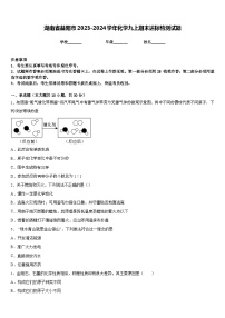 湖南省益阳市2023-2024学年化学九上期末达标检测试题含答案