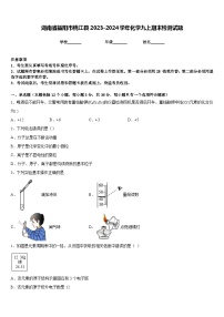 湖南省益阳市桃江县2023-2024学年化学九上期末检测试题含答案