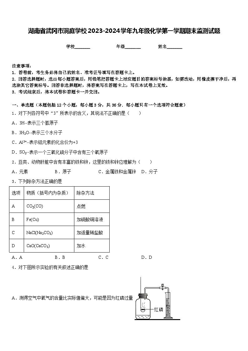 湖南省武冈市洞庭学校2023-2024学年九年级化学第一学期期末监测试题含答案第1页