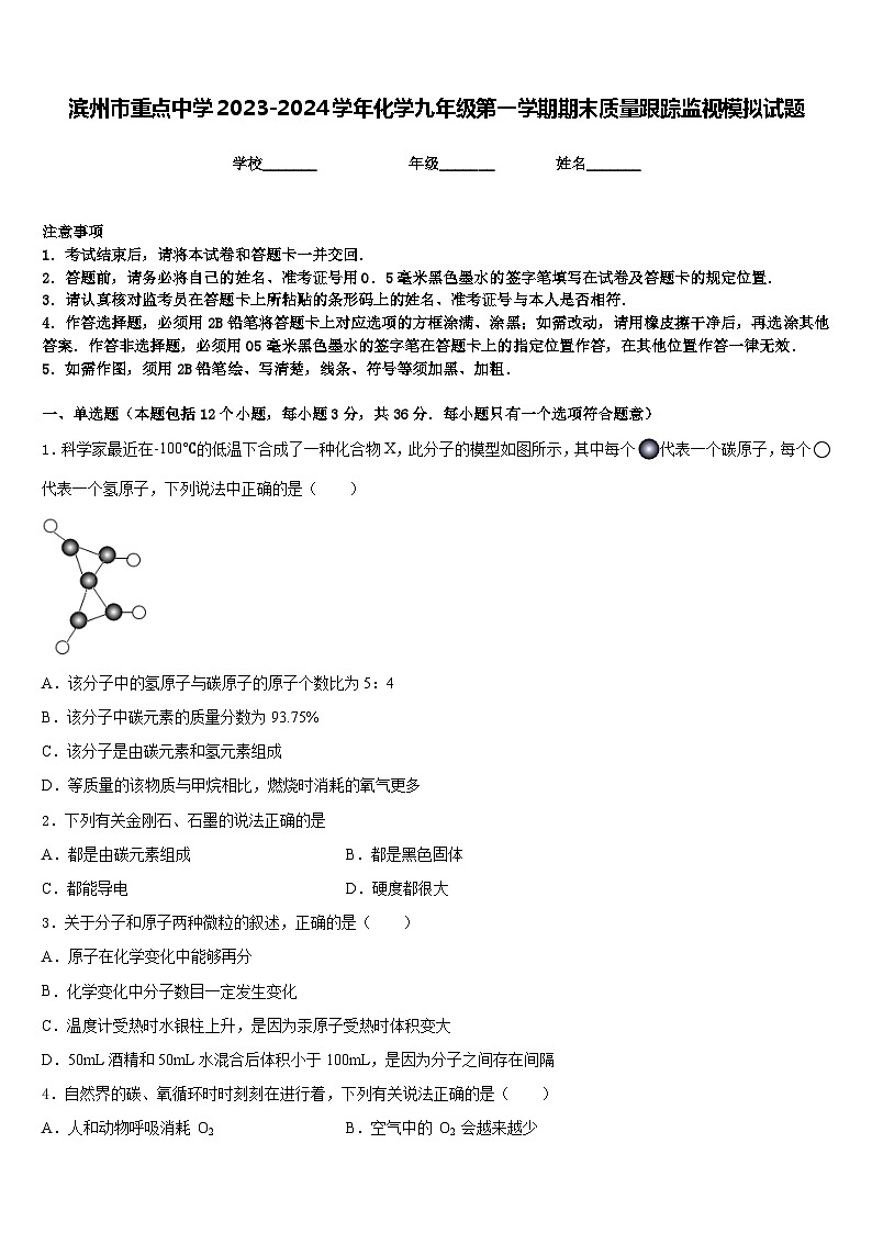 滨州市重点中学2023-2024学年化学九年级第一学期期末质量跟踪监视模拟试题含答案01