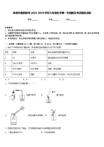 滁州凤阳县联考2023-2024学年九年级化学第一学期期末考试模拟试题含答案