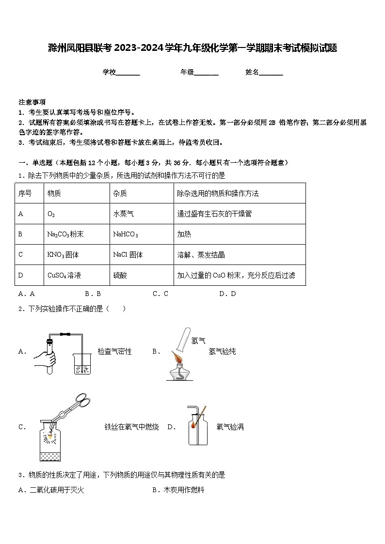 滁州凤阳县联考2023-2024学年九年级化学第一学期期末考试模拟试题含答案第1页