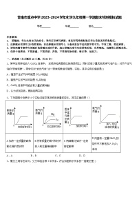 甘南市重点中学2023-2024学年化学九年级第一学期期末检测模拟试题含答案