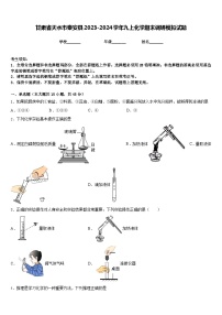 甘肃省天水市秦安县2023-2024学年九上化学期末调研模拟试题含答案