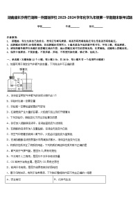 湖南省长沙青竹湖湘一外国语学校2023-2024学年化学九年级第一学期期末联考试题含答案