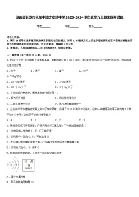 湖南省长沙市大附中博才实验中学2023-2024学年化学九上期末联考试题含答案