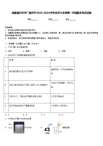 湖南省长沙市广益中学2023-2024学年化学九年级第一学期期末考试试题含答案