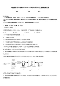 湖南省长沙市浏阳市2023-2024学年化学九上期末统考试题含答案