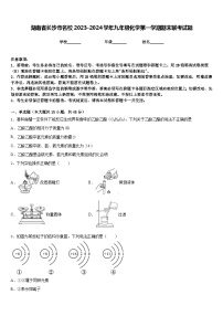 湖南省长沙市名校2023-2024学年九年级化学第一学期期末联考试题含答案