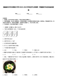 湖南省长沙市长郡滨江中学2023-2024学年化学九年级第一学期期末学业质量监测试题含答案