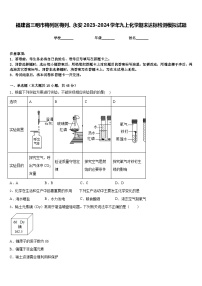 福建省三明市梅列区梅列、永安2023-2024学年九上化学期末达标检测模拟试题含答案