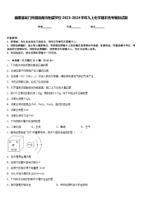 福建省厦门外国语海沧附属学校2023-2024学年九上化学期末统考模拟试题含答案