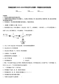 甘肃省白银市2023-2024学年化学九年级第一学期期末达标检测试题含答案