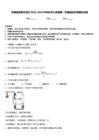 甘肃省定西市名校2023-2024学年化学九年级第一学期期末统考模拟试题含答案