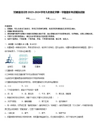 甘肃省泾川市2023-2024学年九年级化学第一学期期末考试模拟试题含答案