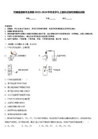 甘肃省酒泉市瓜州县2023-2024学年化学九上期末达标检测模拟试题含答案