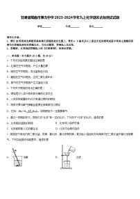 甘肃省陇南市第五中学2023-2024学年九上化学期末达标测试试题含答案