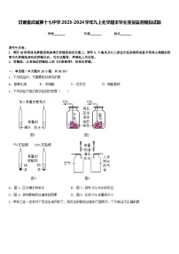 甘肃省武威第十七中学2023-2024学年九上化学期末学业质量监测模拟试题含答案