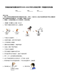 甘肃省武威市民勤实验中学2023-2024学年九年级化学第一学期期末统考试题含答案