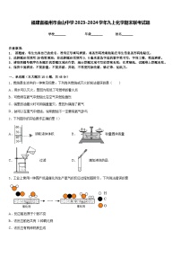 福建省福州市金山中学2023-2024学年九上化学期末联考试题含答案