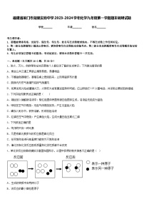 福建省厦门市湖里实验中学2023-2024学年化学九年级第一学期期末调研试题含答案