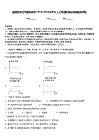 福建省厦门市第五中学2023-2024学年九上化学期末达标检测模拟试题含答案