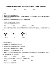 福建省泉州市泉州实验中学2023-2024学年化学九上期末复习检测试题含答案