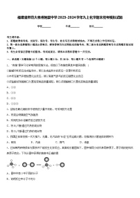 福建省师范大泉州附属中学2023-2024学年九上化学期末统考模拟试题含答案