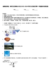 福建省郊尾、枫亭五校教研小片区2023-2024学年九年级化学第一学期期末经典试题含答案