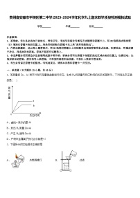 贵州省安顺市平坝区第二中学2023-2024学年化学九上期末教学质量检测模拟试题含答案