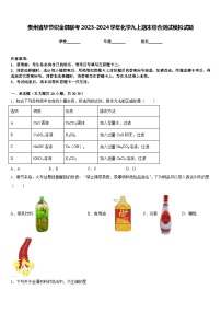 贵州省毕节织金县联考2023-2024学年化学九上期末综合测试模拟试题含答案
