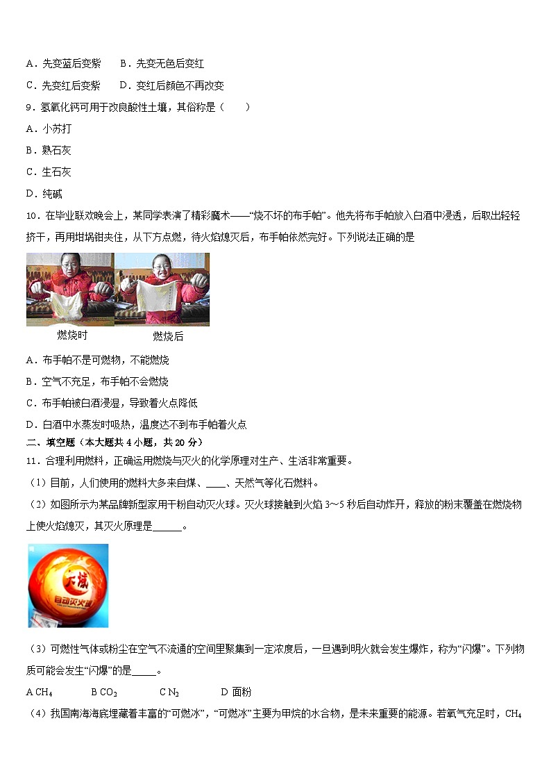 贵州省六盘水二十中学2023-2024学年九年级化学第一学期期末复习检测模拟试题含答案第3页