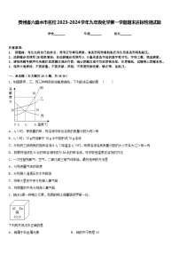 贵州省六盘水市名校2023-2024学年九年级化学第一学期期末达标检测试题含答案