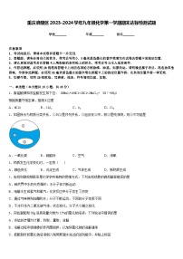 重庆涪陵区2023-2024学年九年级化学第一学期期末达标检测试题含答案