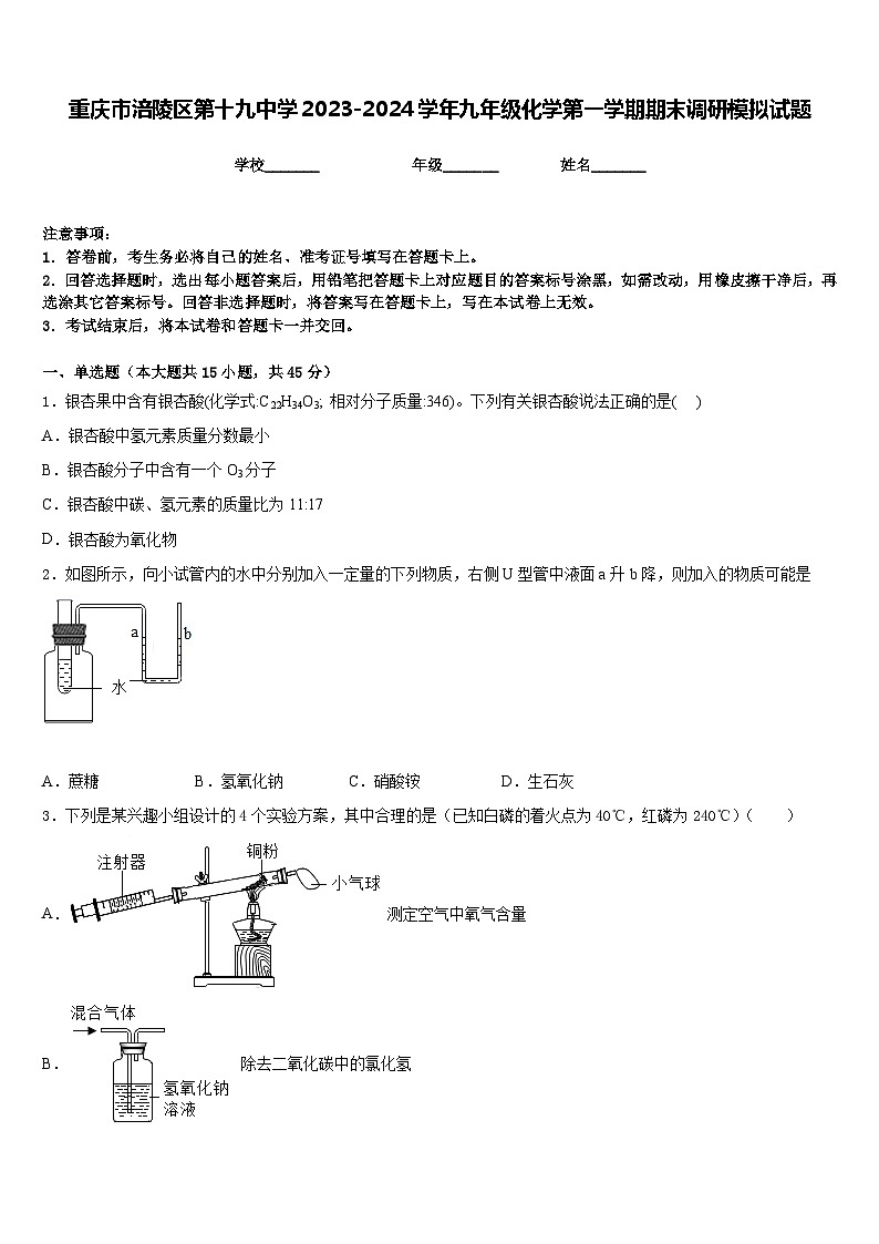 重庆市涪陵区第十九中学2023-2024学年九年级化学第一学期期末调研模拟试题含答案第1页