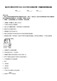 重庆市江津区支坪中学2023-2024学年九年级化学第一学期期末联考模拟试题含答案