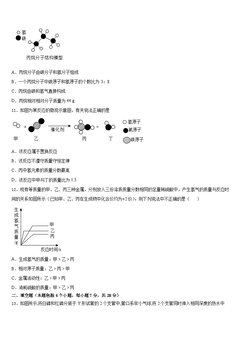 重庆市涪陵十九中学2023-2024学年九上化学期末复习检测试题含答案第3页
