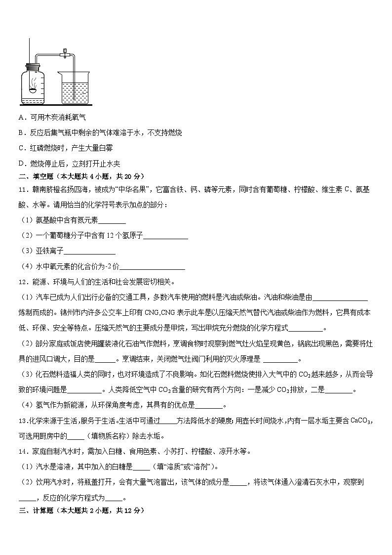 重庆市江津区名校2023-2024学年九上化学期末调研试题含答案第3页