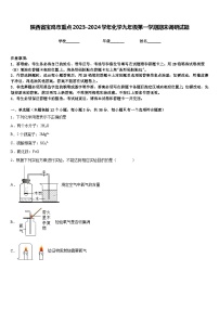 陕西省宝鸡市重点2023-2024学年化学九年级第一学期期末调研试题含答案