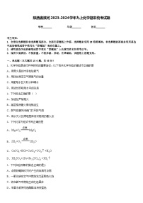 陕西省滨河2023-2024学年九上化学期末统考试题含答案