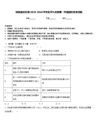 陕西省定边县2023-2024学年化学九年级第一学期期末统考试题含答案