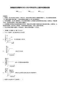 陕西省定边县联考2023-2024学年化学九上期末考试模拟试题含答案