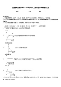 陕西省岐山县2023-2024学年九上化学期末联考模拟试题含答案