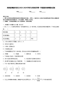 陕西省渭南市名校2023-2024学年九年级化学第一学期期末调研模拟试题含答案