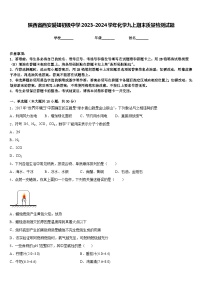 陕西省西安爱知初级中学2023-2024学年化学九上期末质量检测试题含答案