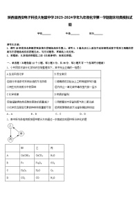 陕西省西安电子科技大附属中学2023-2024学年九年级化学第一学期期末经典模拟试题含答案