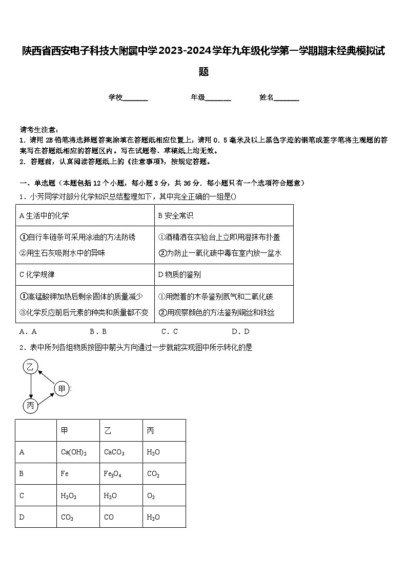 陕西省西安电子科技大附属中学2023-2024学年九年级化学第一学期期末经典模拟试题含答案01