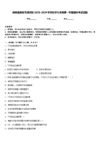 陕西省西安市滨河区2023-2024学年化学九年级第一学期期末考试试题含答案