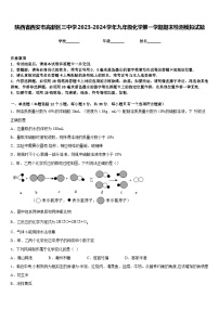 陕西省西安市高新区三中学2023-2024学年九年级化学第一学期期末检测模拟试题含答案